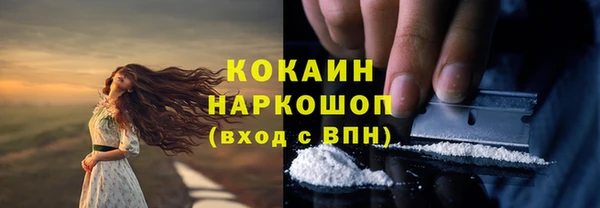 гашик Белокуриха