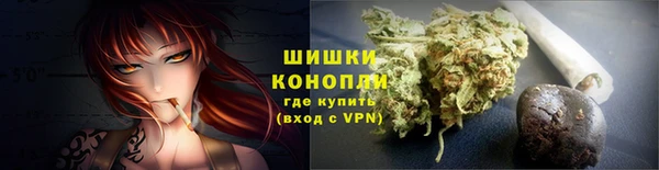 гашик Белокуриха