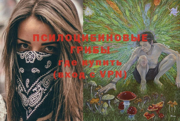 гашик Белокуриха