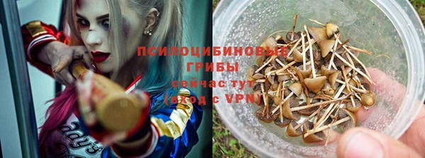 эйфоретик Беломорск