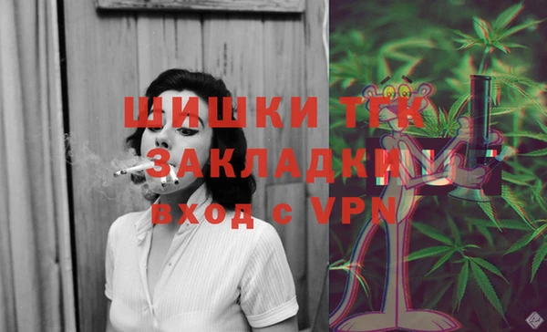 гашик Белокуриха