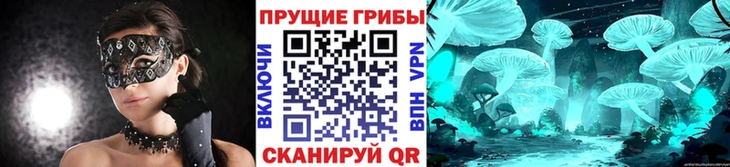 Галлюциногенные грибы ЛСД  Калач 
